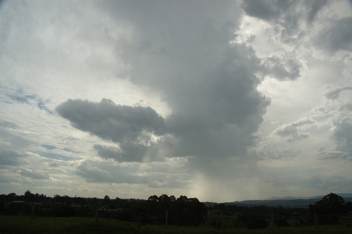 cumulus congestus : Wyrallah, NSW   4 November 2007