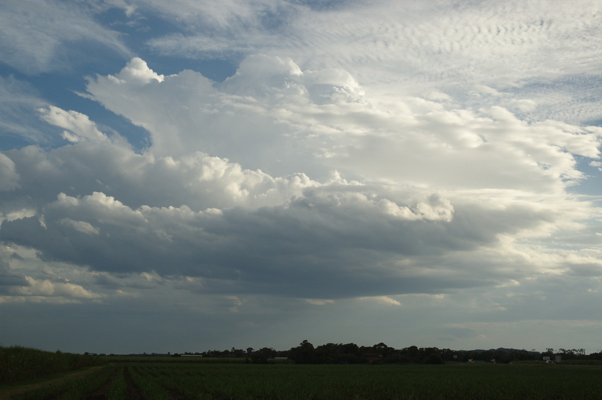 thunderstorm cumulonimbus_calvus : near Wardell, NSW   4 November 2007