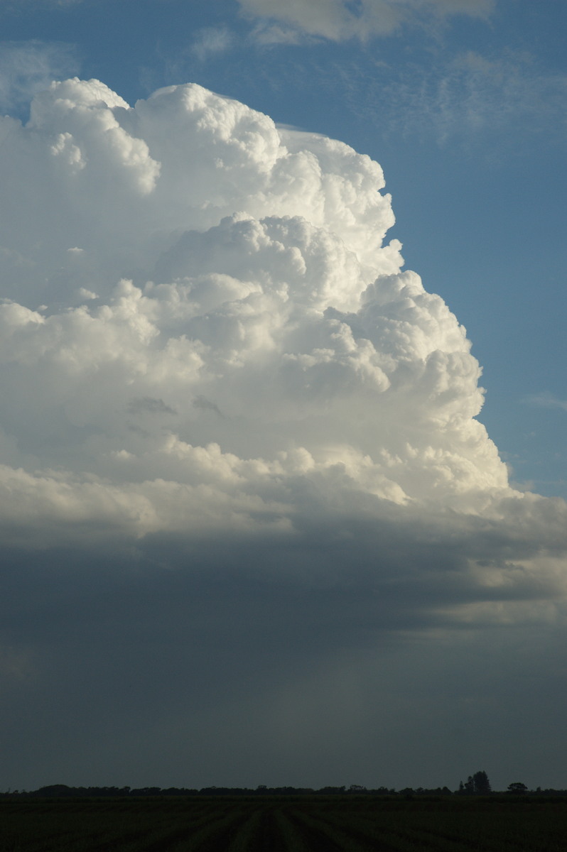 thunderstorm cumulonimbus_calvus : near Wardell, NSW   4 November 2007