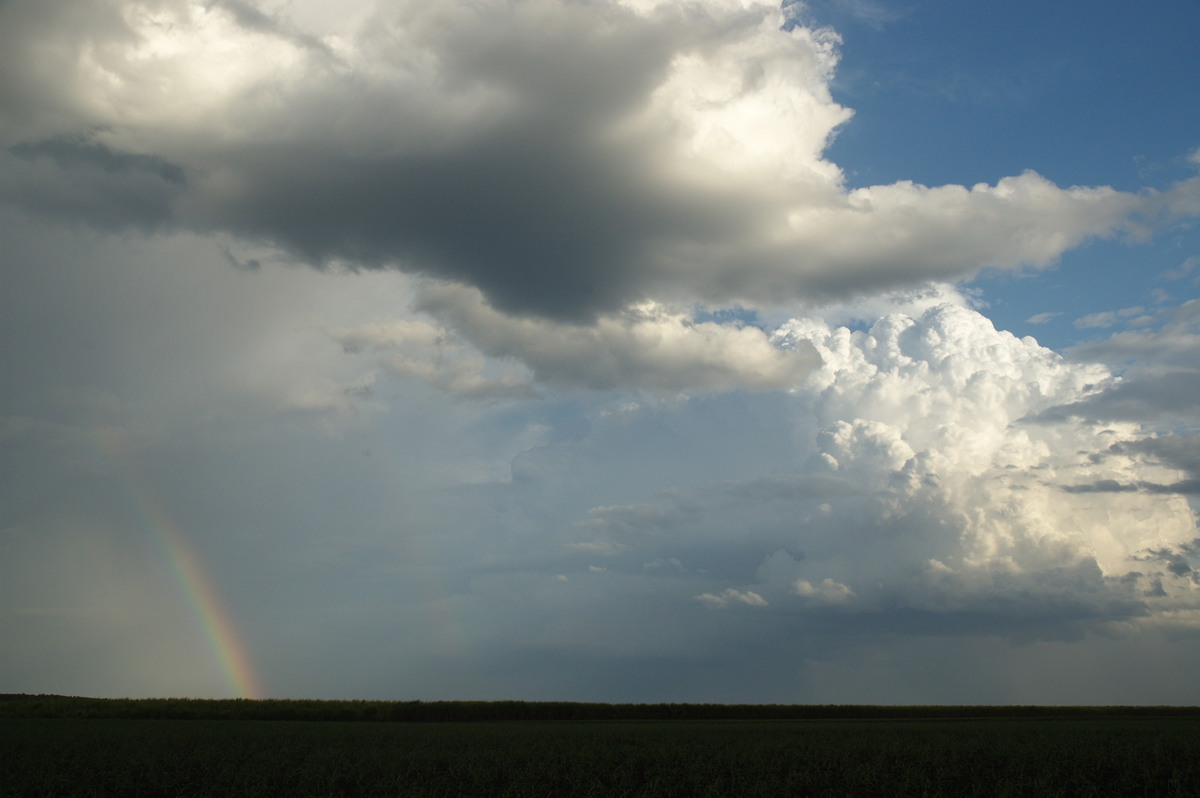 thunderstorm cumulonimbus_calvus : near Wardell, NSW   4 November 2007