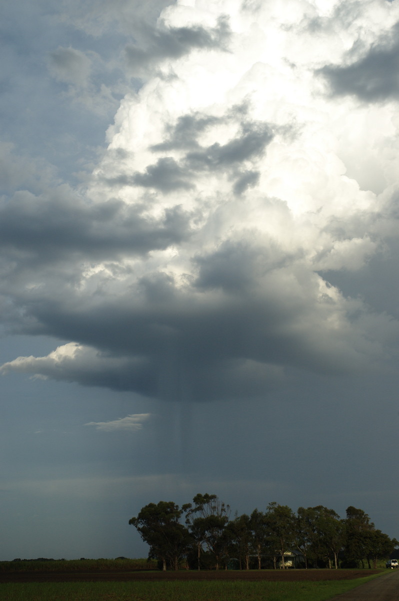 updraft thunderstorm_updrafts : near Wardell, NSW   4 November 2007