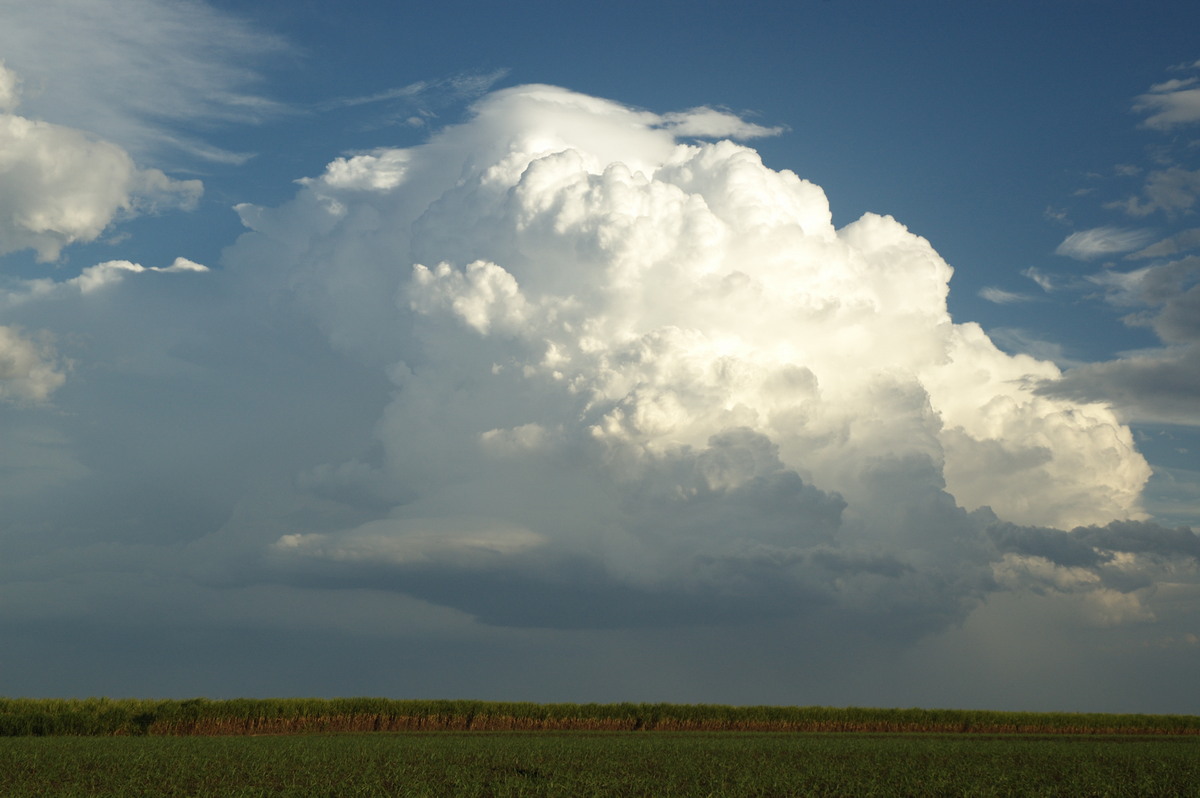 thunderstorm cumulonimbus_incus : near Wardell, NSW   4 November 2007