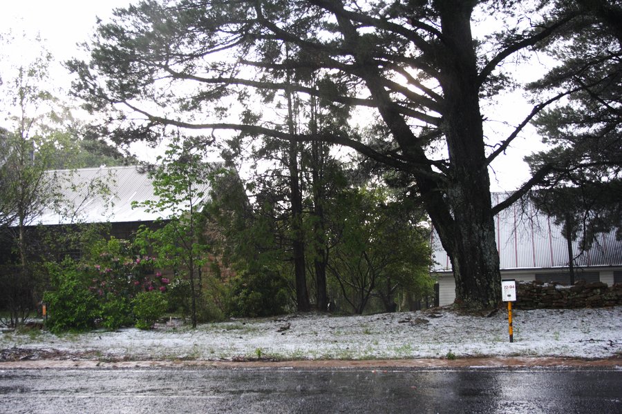 hailstones hail_stones : near Bell, NSW   16 November 2007