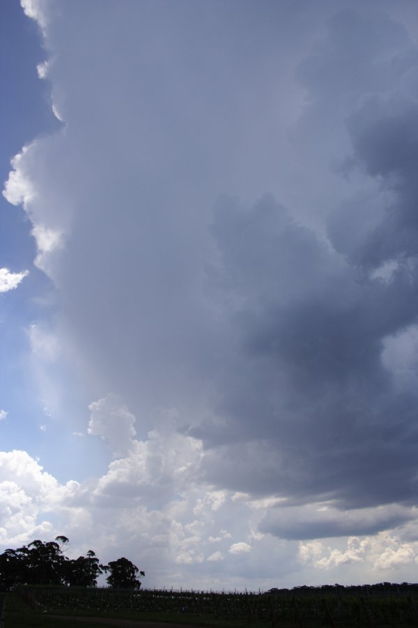 updraft thunderstorm_updrafts : near Berrima, NSW   17 November 2007