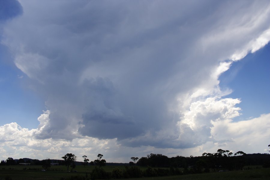 thunderstorm cumulonimbus_incus : near Berrima, NSW   17 November 2007