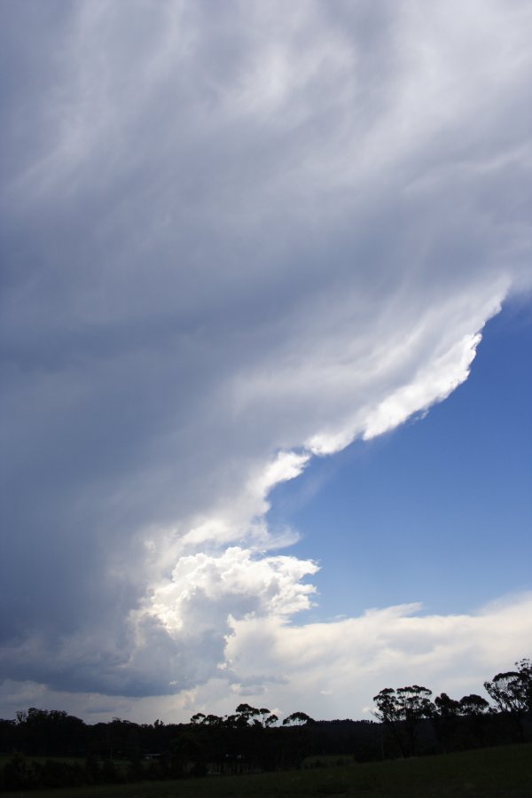 thunderstorm cumulonimbus_incus : near Berrima, NSW   17 November 2007