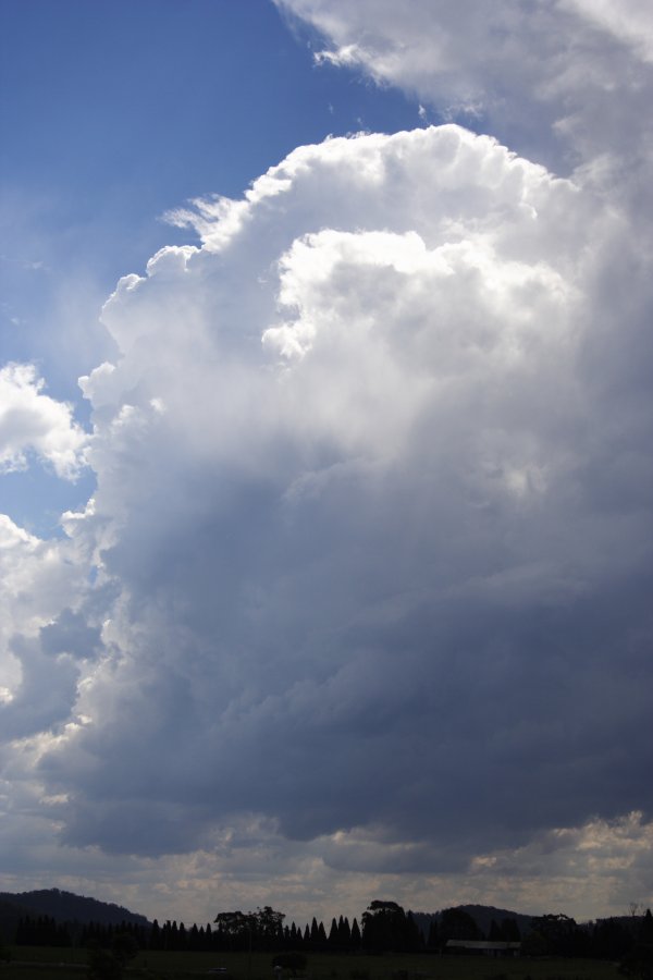 updraft thunderstorm_updrafts : near Mittagong, NSW   17 November 2007