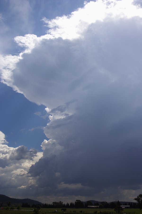 updraft thunderstorm_updrafts : near Mittagong, NSW   17 November 2007