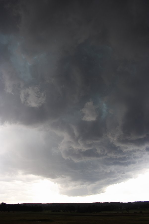 cumulonimbus thunderstorm_base : Marulan, NSW   17 November 2007