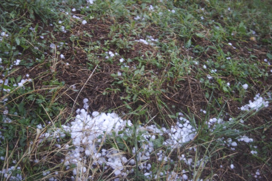 hailstones hail_stones : near Marulan, NSW   18 November 2007