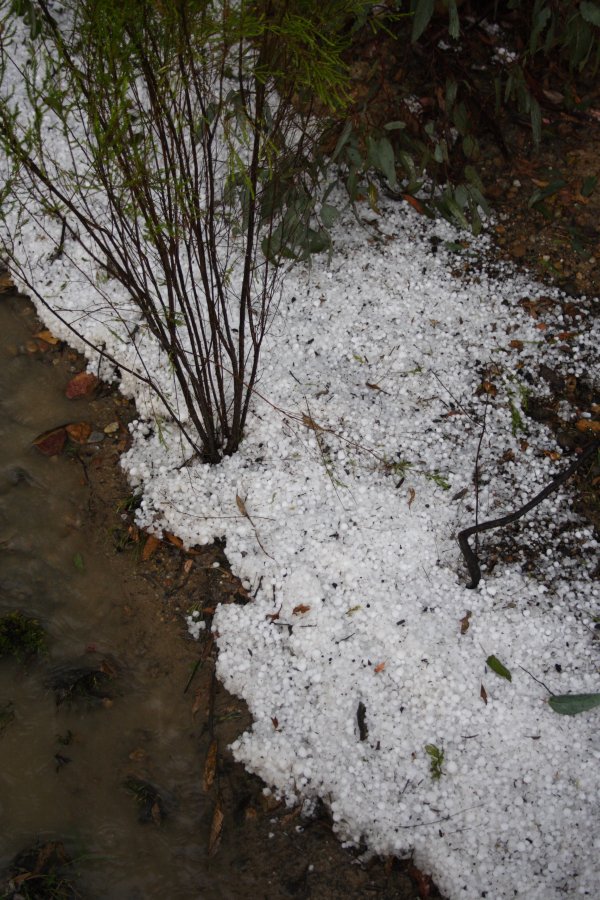 hailstones hail_stones : near Marulan, NSW   18 November 2007