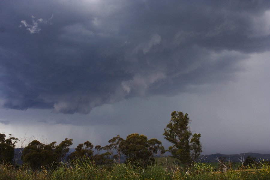 raincascade precipitation_cascade : near Hampton, NSW   19 November 2007