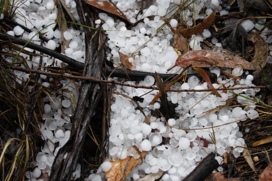 hailstones hail_stones : near Lithgow, NSW   19 November 2007