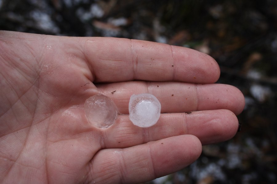 hailstones hail_stones : near Lithgow, NSW   19 November 2007