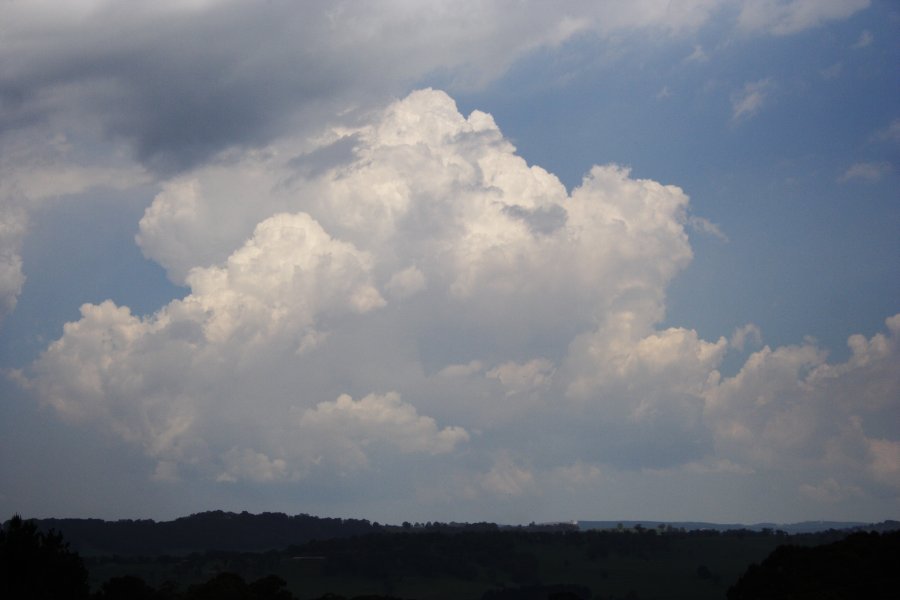 thunderstorm cumulonimbus_calvus : near Oberon, NSW   20 November 2007