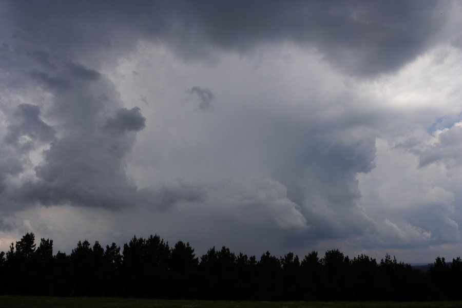 updraft thunderstorm_updrafts : near Oberon, NSW   20 November 2007