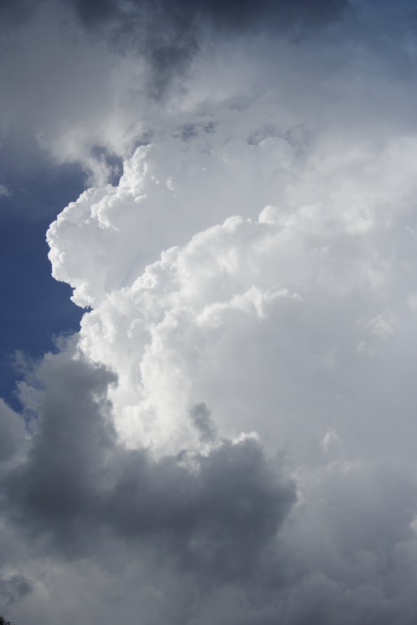 updraft thunderstorm_updrafts : Mt Victoria, NSW   21 November 2007