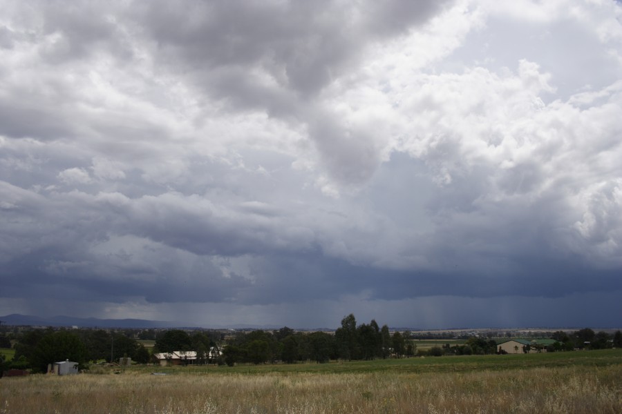 raincascade precipitation_cascade : Tamworth, NSW   22 November 2007