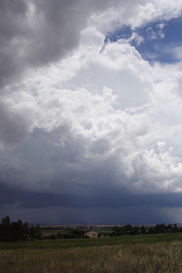 cumulonimbus thunderstorm_base : Tamworth, NSW   22 November 2007