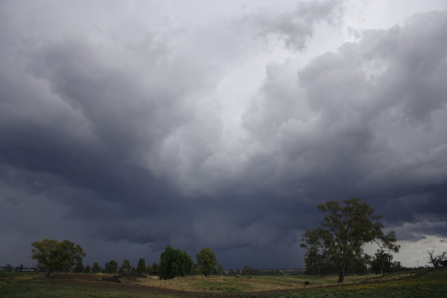 raincascade precipitation_cascade : Tamworth, NSW   22 November 2007