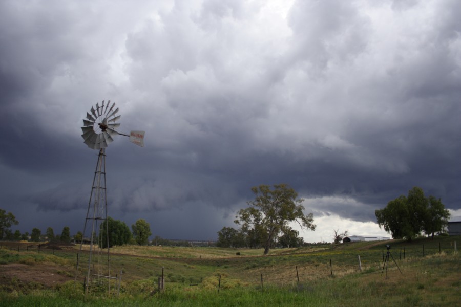 cumulonimbus thunderstorm_base : Tamworth, NSW   22 November 2007