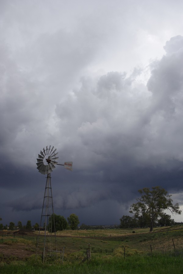 raincascade precipitation_cascade : Tamworth, NSW   22 November 2007