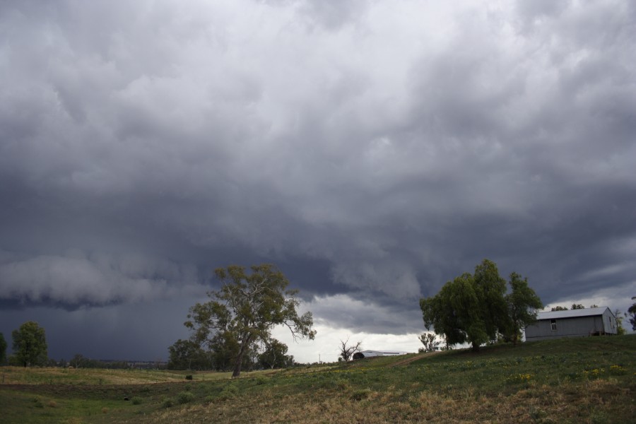 shelfcloud shelf_cloud : Tamworth, NSW   22 November 2007