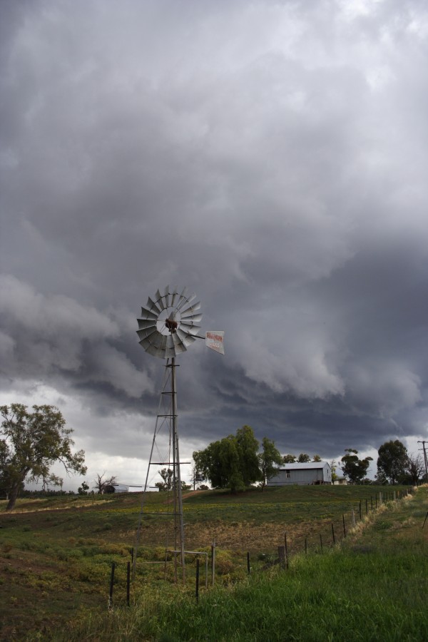 shelfcloud shelf_cloud : Tamworth, NSW   22 November 2007