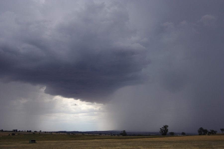 raincascade precipitation_cascade : Tamworth, NSW   22 November 2007