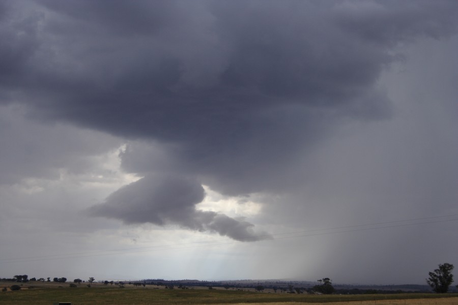 raincascade precipitation_cascade : Tamworth, NSW   22 November 2007