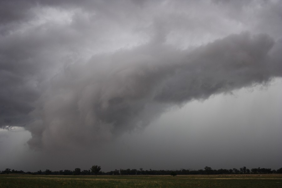 cumulonimbus thunderstorm_base : Manilla, NSW   22 November 2007