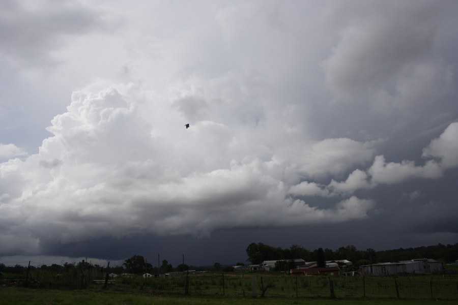 updraft thunderstorm_updrafts : Schofields, NSW   30 November 2007