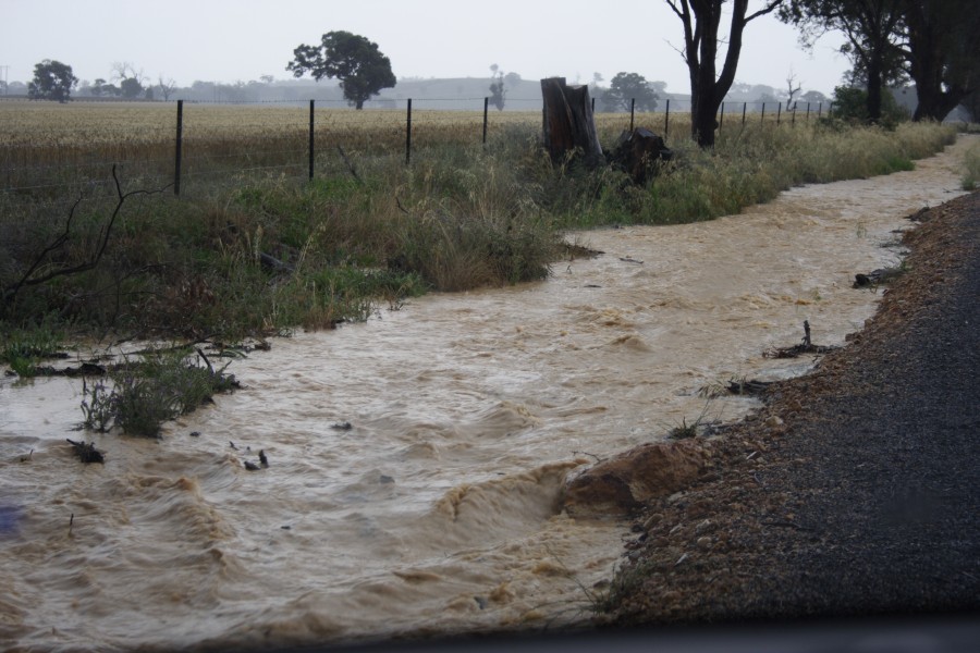 flashflooding flood_pictures : N of Gulgong, NSW   1 December 2007