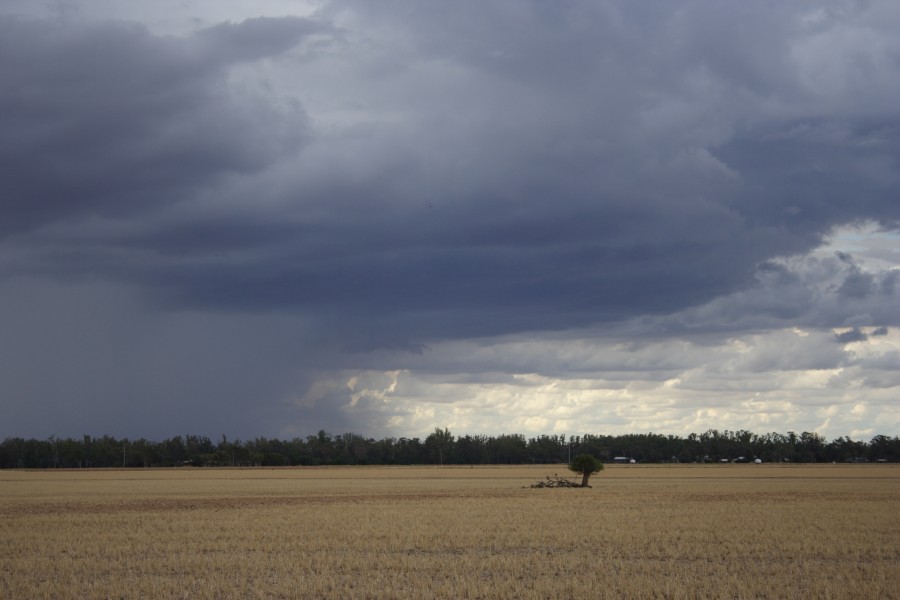 raincascade precipitation_cascade : W of Dubbo, NSW   2 December 2007