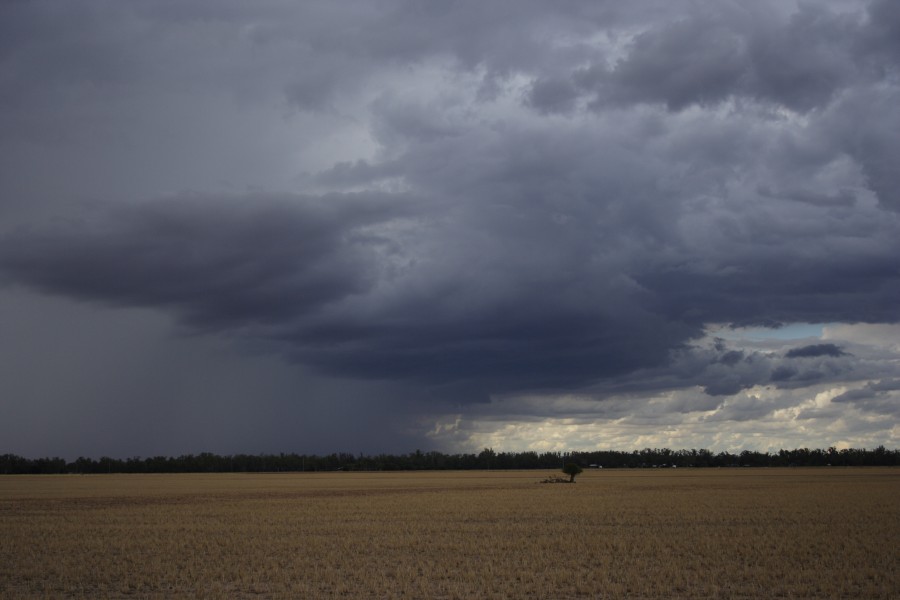raincascade precipitation_cascade : W of Dubbo, NSW   2 December 2007