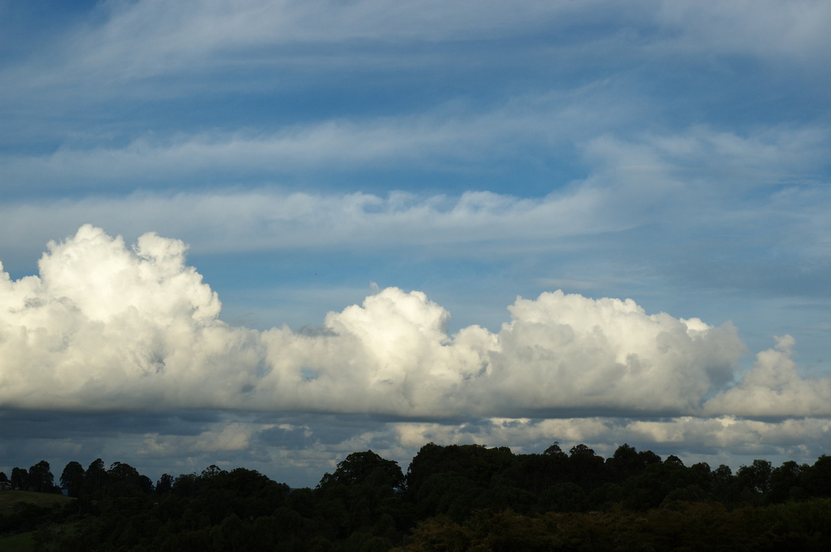 cumulus mediocris : McLeans Ridges, NSW   2 December 2007