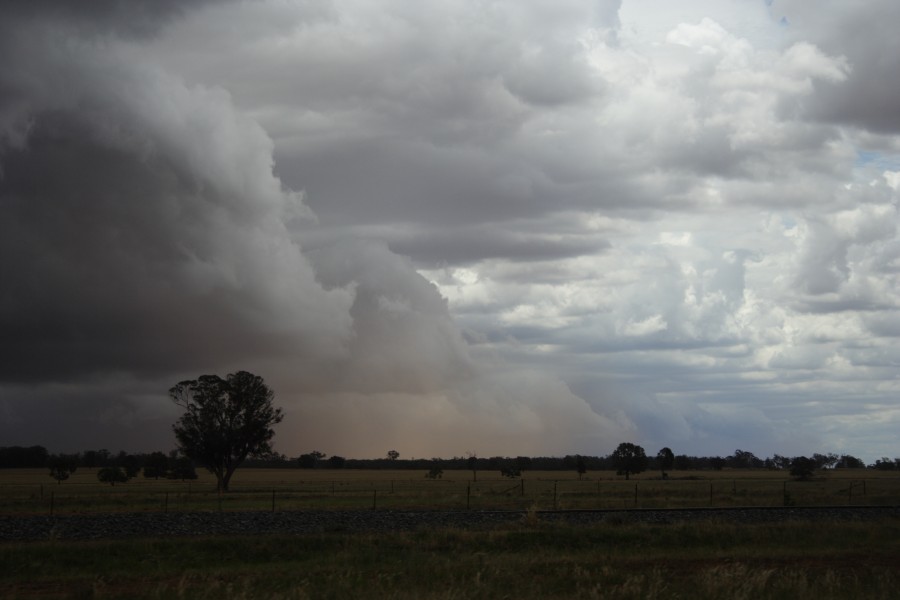 cumulonimbus thunderstorm_base : SW of Narromine, NSW   3 December 2007