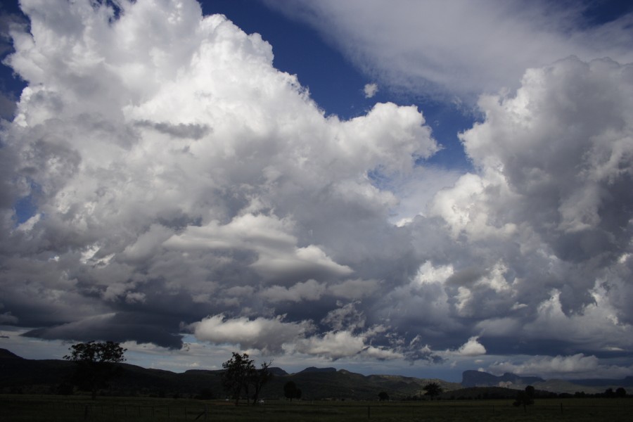 cumulus congestus : Warrumbungles, NSW   3 December 2007