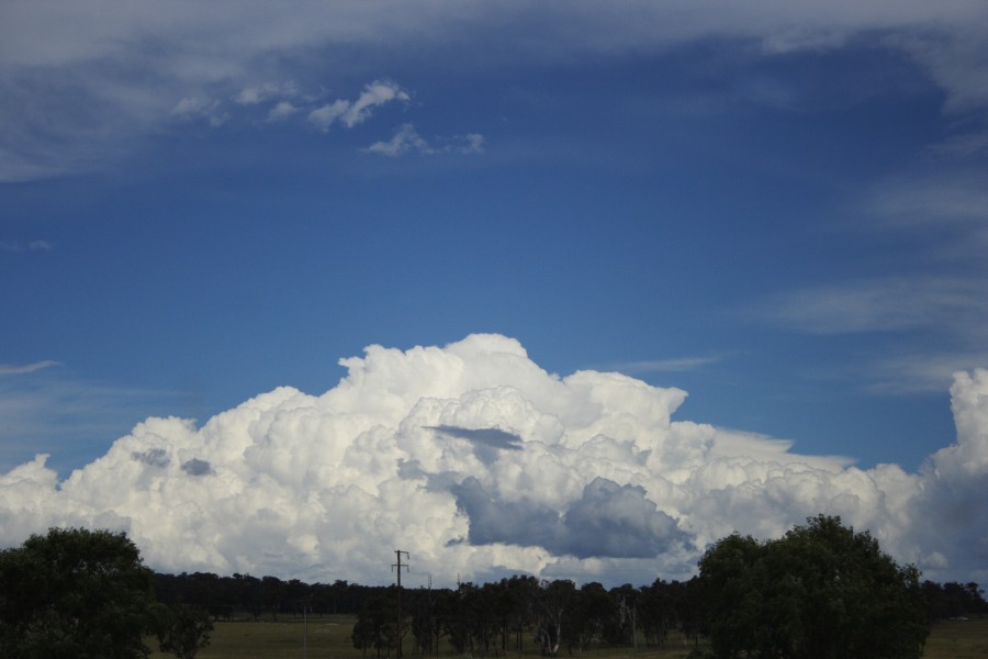 thunderstorm cumulonimbus_incus : W of Ebor, NSW   4 December 2007