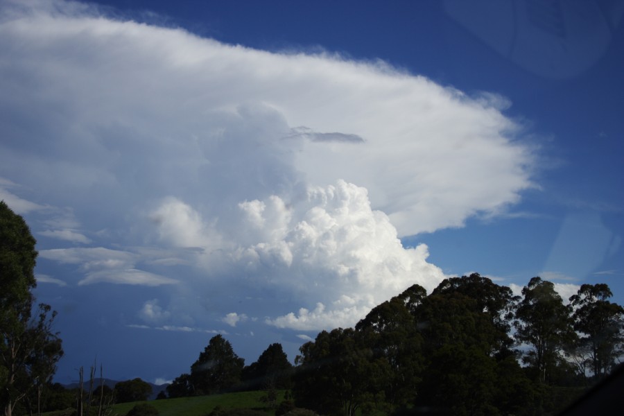 thunderstorm cumulonimbus_incus : W of Dorrigo, NSW   4 December 2007