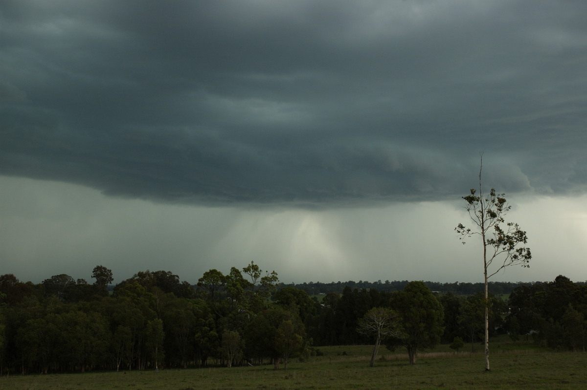 cumulonimbus thunderstorm_base : Koolkhan, NSW   4 December 2007