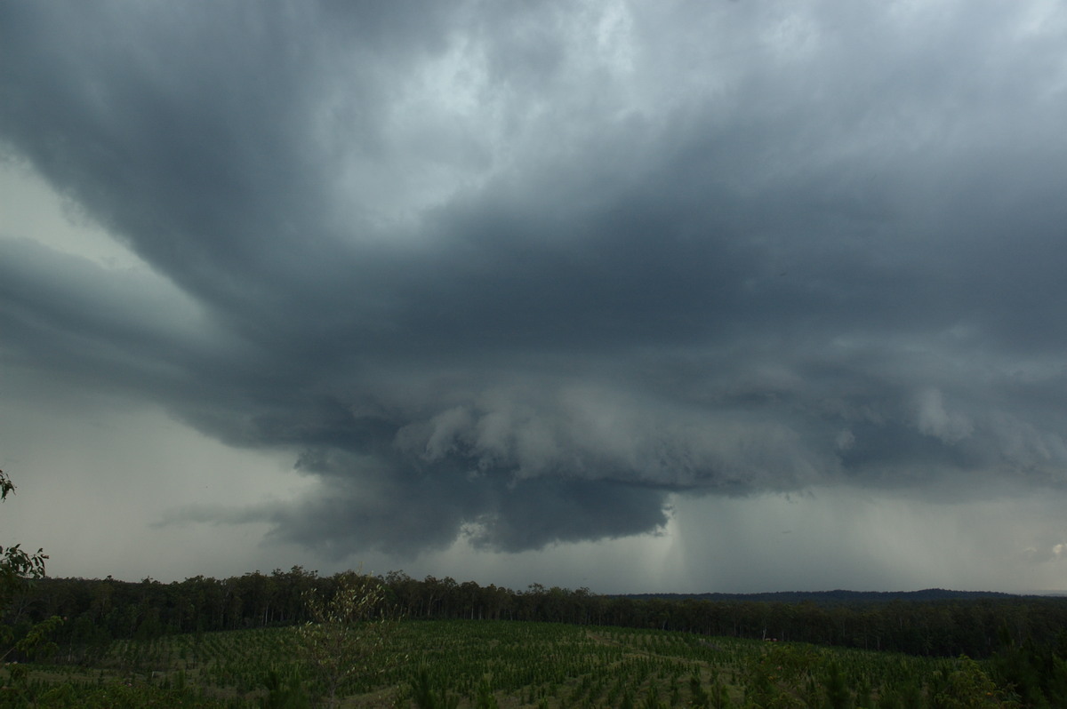 wallcloud thunderstorm_wall_cloud : Whiporie, NSW   4 December 2007