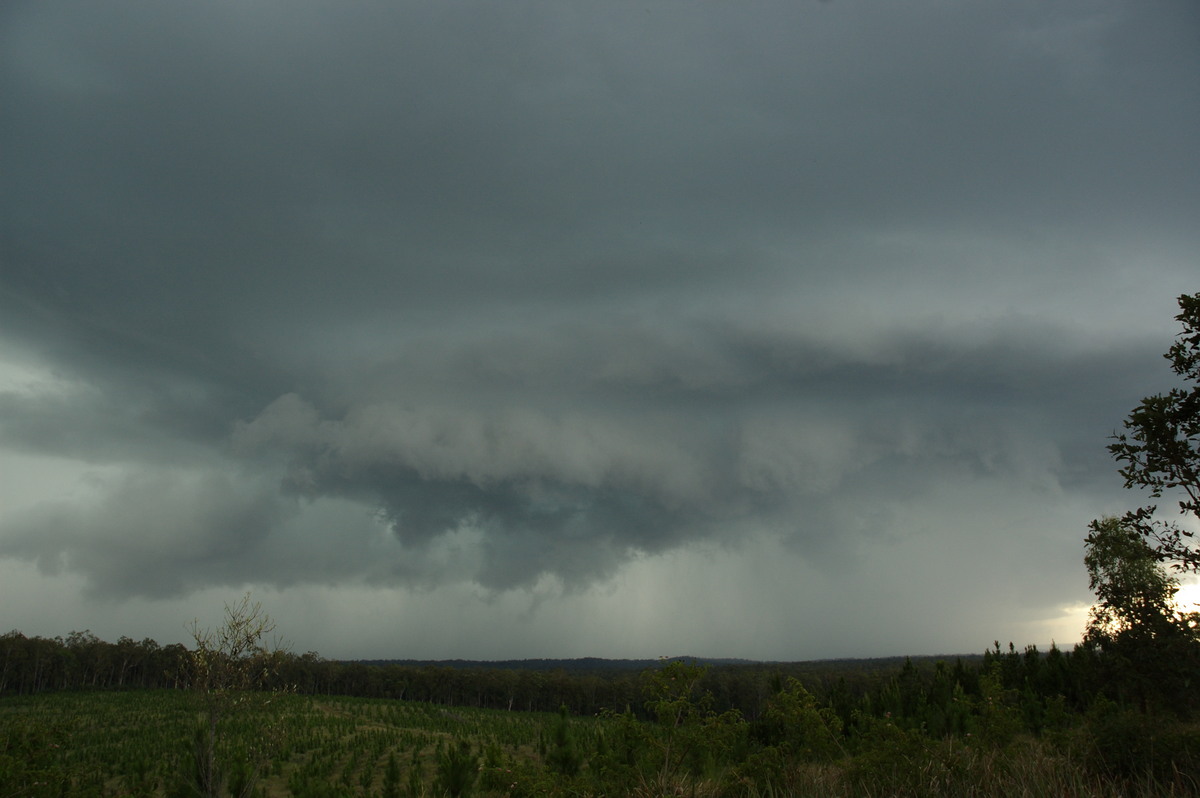 wallcloud thunderstorm_wall_cloud : Whiporie, NSW   4 December 2007