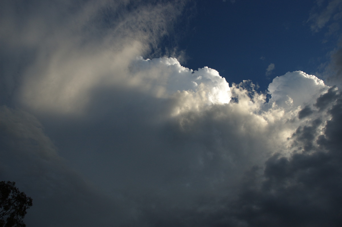 updraft thunderstorm_updrafts : Rappville, NSW   4 December 2007