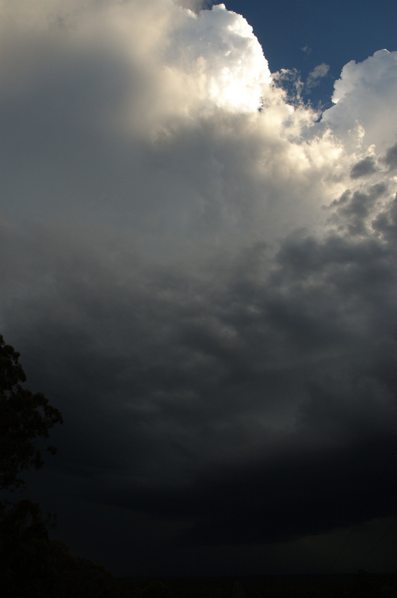 updraft thunderstorm_updrafts : Rappville, NSW   4 December 2007