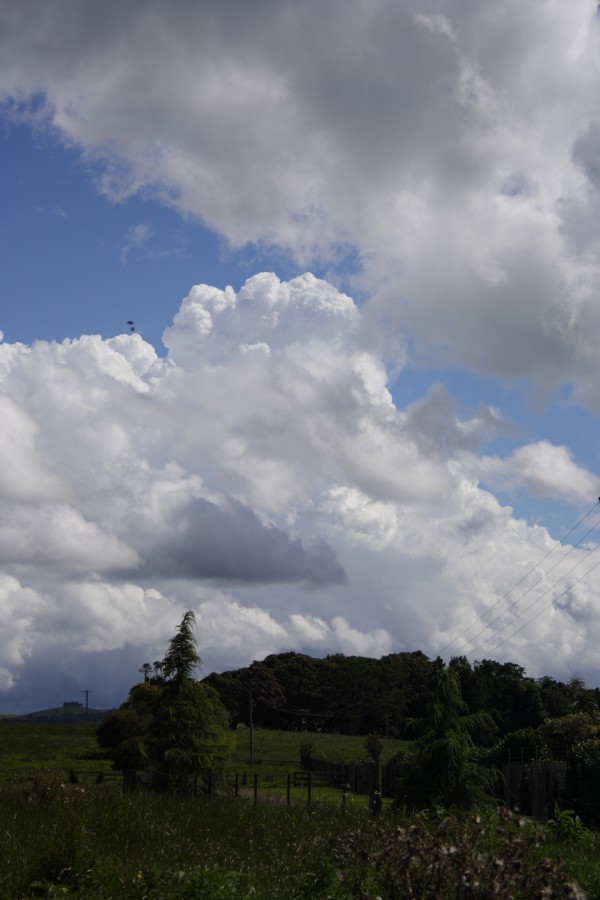 thunderstorm cumulonimbus_incus : Dorrigo, NSW   5 December 2007