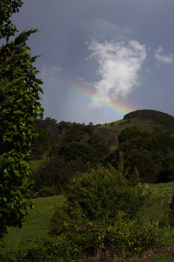 rainbow rainbow_pictures : N of Dorrigo, NSW   5 December 2007