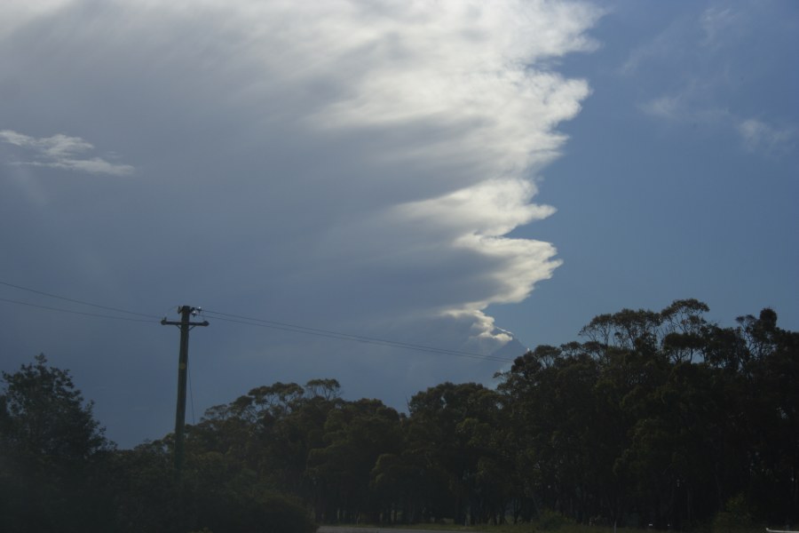 anvil thunderstorm_anvils : E of Bathurst, NSW   7 December 2007