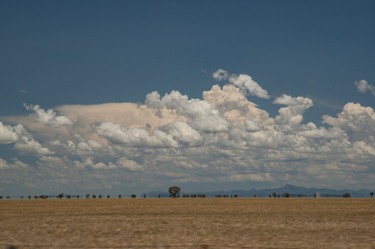 cumulus humilis : near Coonamble, NSW   8 December 2007