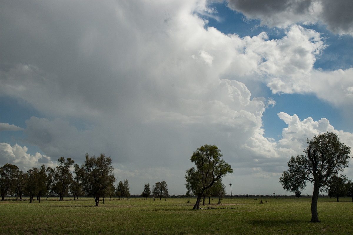 raincascade precipitation_cascade : near Gulargambone, NSW   8 December 2007